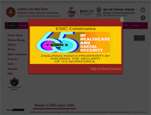 Tablet Screenshot of esicjk.org